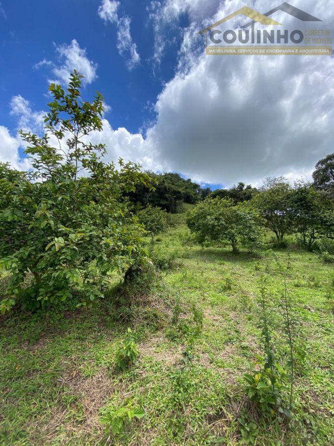 WhatsApp Image 2026-01-15 at 13.59.54 (6).jpeg